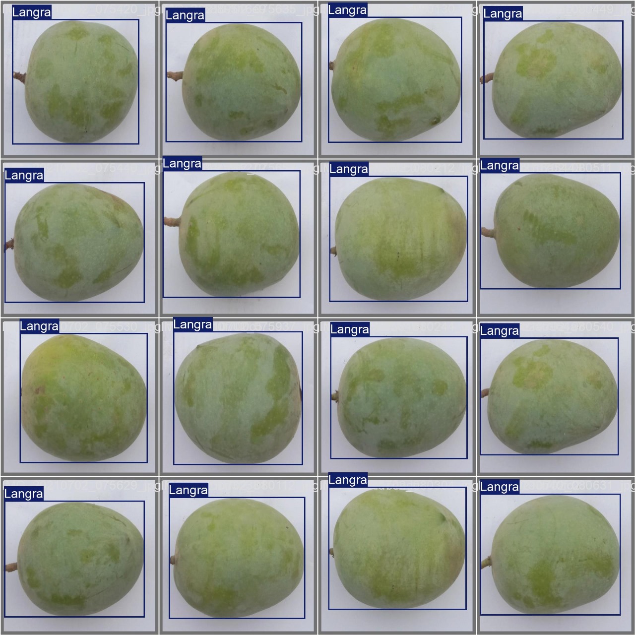 Mangoes Detection