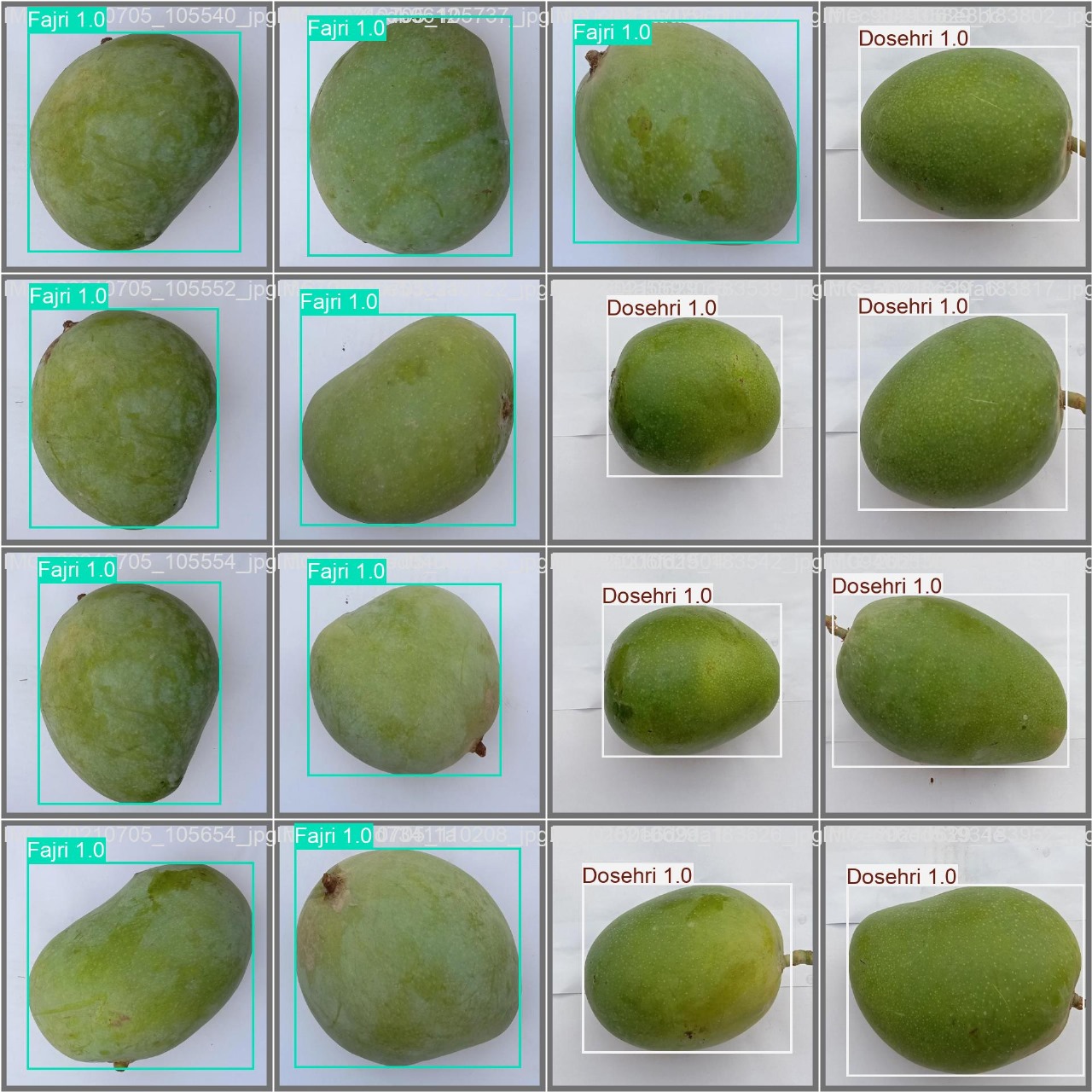 Mango Detection