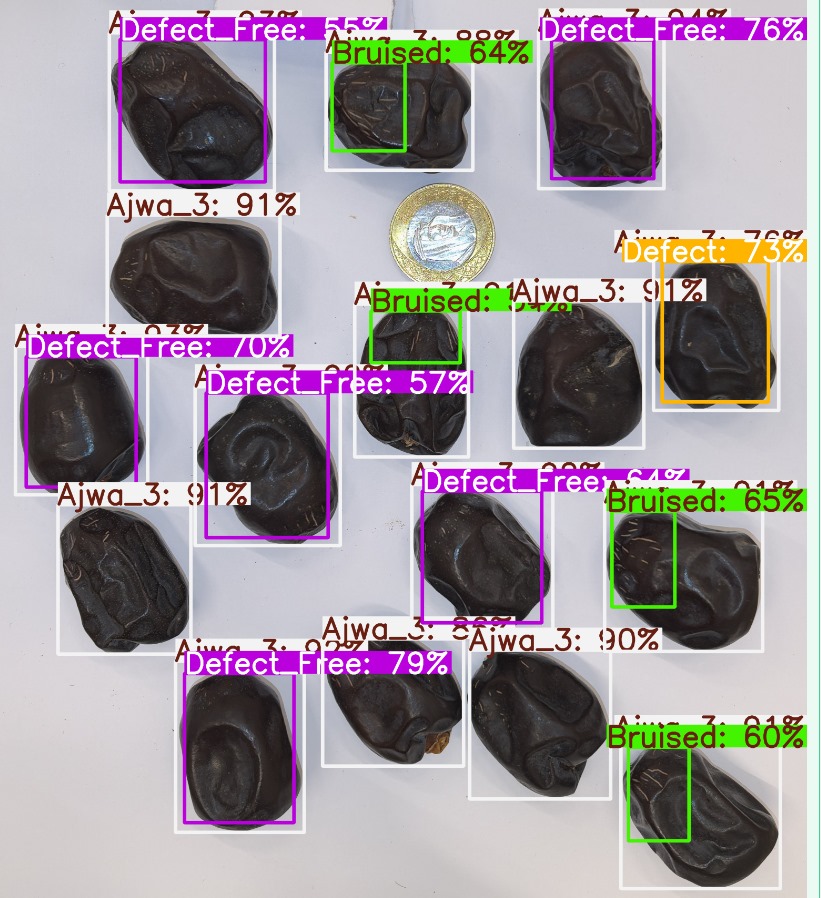 Dates Detection